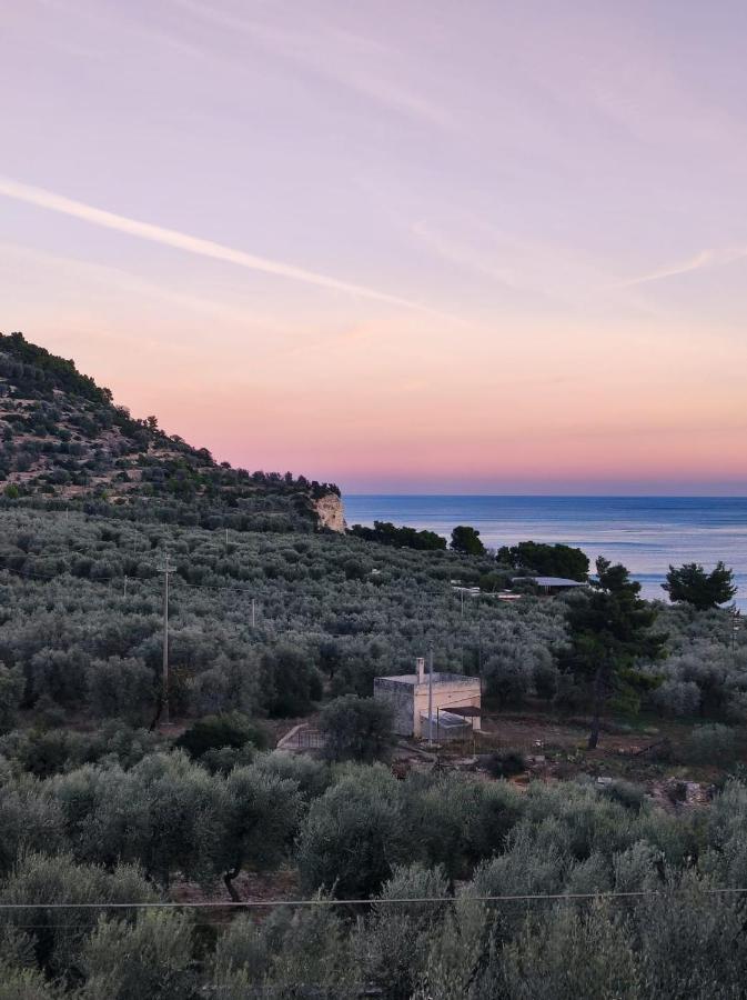 Dimora Mediterranea Mattinata Extérieur photo
